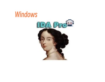 【便携软件】反汇编逆向工具IDA Pro 7.7全-东办绿软