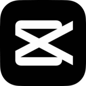 视频编辑 | 剪映专业版 v9.7绿色便携版 付费功能免费使用-东办绿软