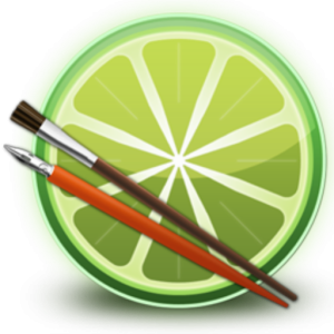 SAI 2025(1.2.6)安装教程及下载-东办绿软