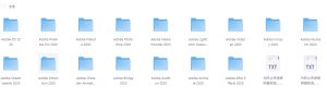 Adobe 2020 独立版全家桶(最终版)-东办软件