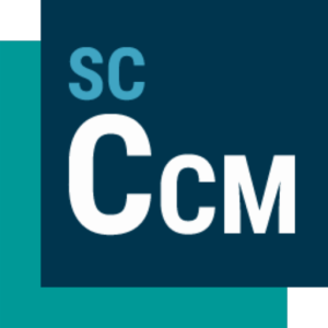 Siemens STAR-CCM+ 2602-东办绿软