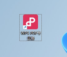 图片[1]-WPS PDF 2023 v12.8.0.15662雨糖科技特别版-东办绿软