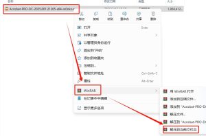 dobe Acrobat Pro 2025.1.21265安装教程-东办软件