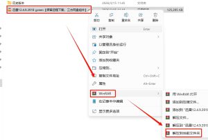 迅雷最新绿色精简版 热门资源下载速度可跑满带宽-东办软件