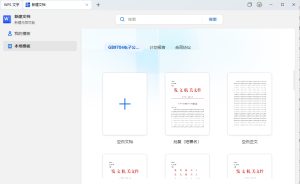 WPS Office 2023 v12.1.0.25225特别版-东办软件
