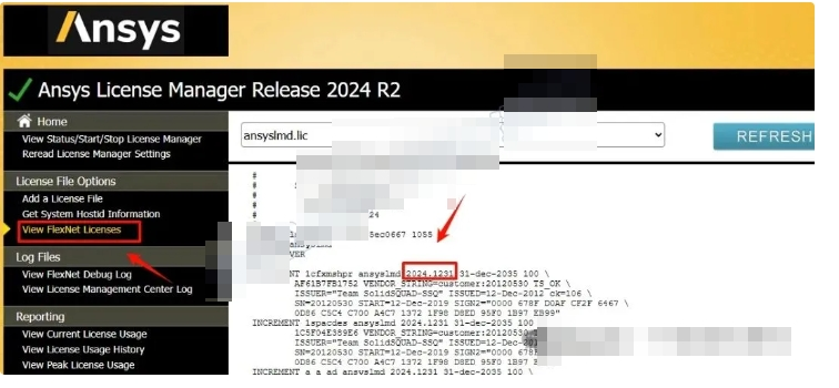 图片[2]-【汇总解答】关于ANSYS软件功能受限和Zemax2024R2不能启动解决办法-东办绿软