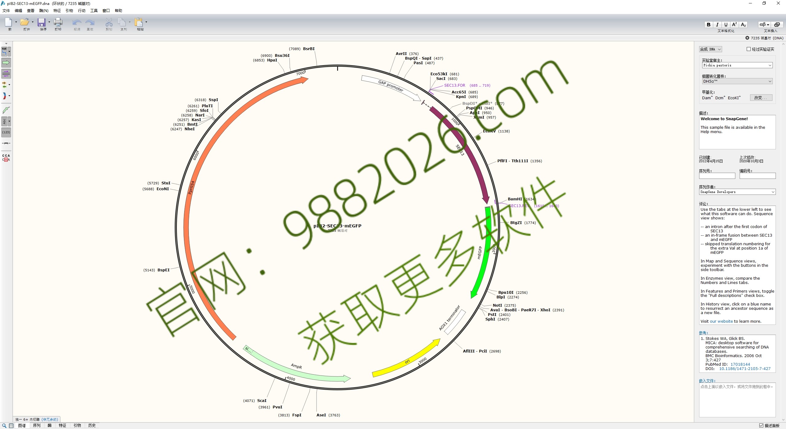 图片[1]-SnapGene 6.0.2安装教程-东办绿软